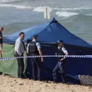 Tragedy at Port Macquarie: Shark Attack Claims Life of Beloved Surfer in Horror Mauling