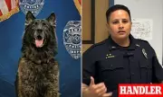 Tragedy in Hawaii: Police Dog Succumbs to Extreme Heat in Parked Patrol Car