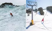 Tragedy on the Slopes: Skier Killed in Thredbo Avalanche as Resort Issues Safety Warning