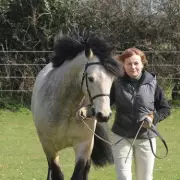 Tragic End for Champion Rider, 80, After Horse Show Fall in Buckinghamshire