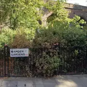 Tragic Stabbing Claims Life of 44-Year-Old Man in West London Street Attack