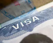 Trump Slams India's H-1B Visa Fee Surge: 'Afraid of American Talent' | The Guardian Analysis