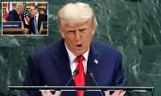 Trump's Blistering Attack on Starmer's Net Zero Agenda: 'Windmills and Solar Panels Will Cripple the UK'