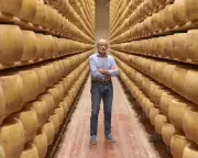 Trump's Tariffs Sour British Cheese Trade: Producers Face Bitter Aftertaste