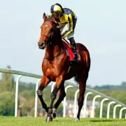 Tuesday's Turf Treasures: The Newsboy's Top Horse Racing Tips for Kempton, Lingfield and Wolverhampton