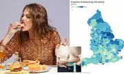 UK Scientists Discover 'Hunger Switch' in Brain That Could Revolutionise Obesity Treatment