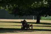 UK Weather: Faversham, Kent, Records Hottest Day of the Year So Far as Heatwave Builds