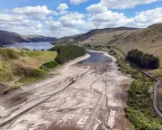 UK Wildlife Crisis: Hedgehogs, Salmon & Birds Face Peril After Record Dry Summer