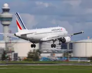 UK's First 'One In, One Out' Deportation Flight Takes Off Empty | The Guardian