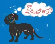 Ultimate Guide: How to Start Training Your Dog for a Happy, Obedient Companion