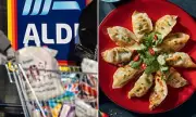 URGENT Aldi Recall: Glass Hazard Found in Frozen Gyoza Dumplings