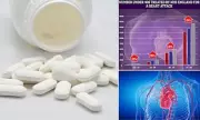Urgent Warning for Women on Beta-Blockers: New Study Reveals Heightened Death Risk