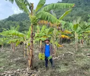 US Deports Mexican Farm Worker After 16 Years: A Family Torn Apart by Immigration Policy