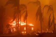 US Government Sues Southern California Edison Over Devastating Wildfires | Legal Action