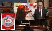 US Senator's Radioactive Shrimp Warning: Louisiana Republican Alarms Public Over Walmart Products