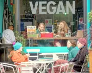 Vegan Restaurant Crisis: Why Plant-Based Eateries Are Closing or Adding Meat to Survive
