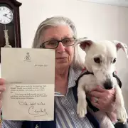 Vet's Urgent Warning: Deadly Puppy Virus Sweeps UK - 11-Week-Old Labrador Dies