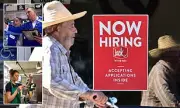 Wall Street Braces for Impact as Crucial Jobs Report Gets Axed Amid Recession Fears