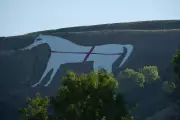 Wiltshire Police Hunt Vandals After Giant White Horse Hill Figure Defaced With Flag