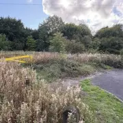 Woman Subjected to Brutal Racist Attack and Rape in North London Park