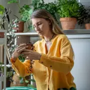 Woman's Incredible Tiny Home Transformation In Garden Shed Goes Viral | UK DIY Sensation