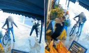 XL Bully Horror: Mother's Safety Plea After Vicious Dog Attack in St Helens
