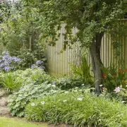 Your Neighbour's Tree Hanging Over? A Lawyer Reveals Your Pruning Rights