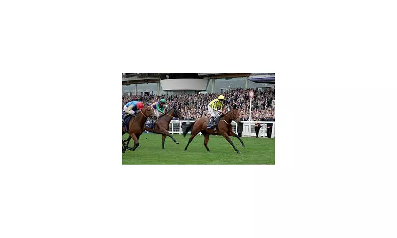 200-1 Glory! Shock Champion Sprint Triumph Stuns Racing World at Newmarket