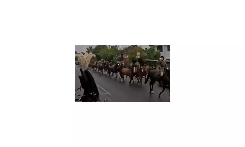A Monarch's Tender Salute: King Charles's Heartfelt Farewell to Beloved Military Horse