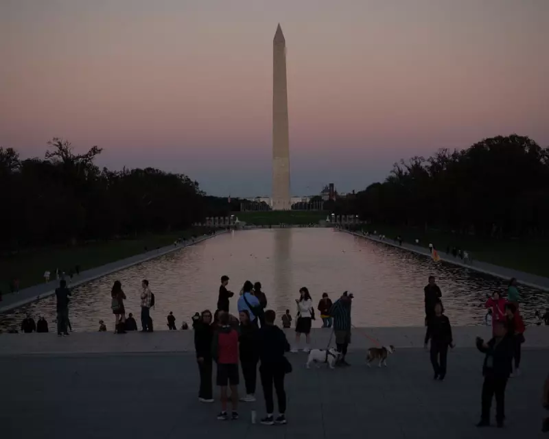 America's Democracy in Crisis: The Aftermath of the 2024 Election