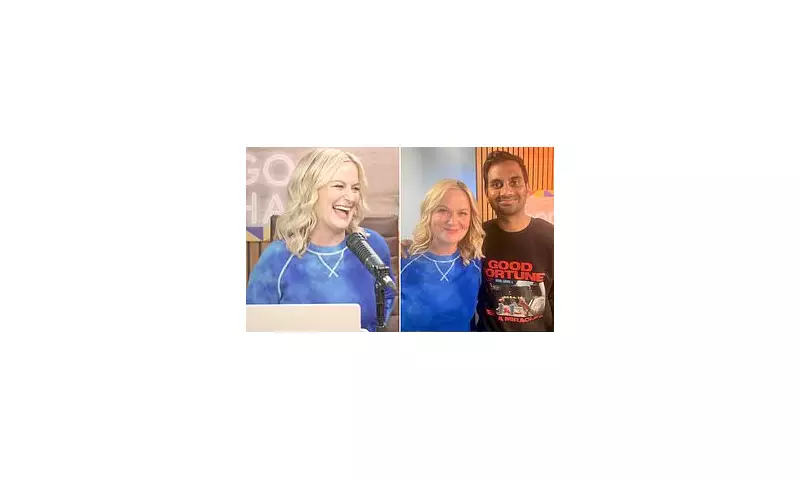 Amy Poehler Faces Backlash Over 'Tone-Deaf' Podcast Remarks With Aziz Ansari