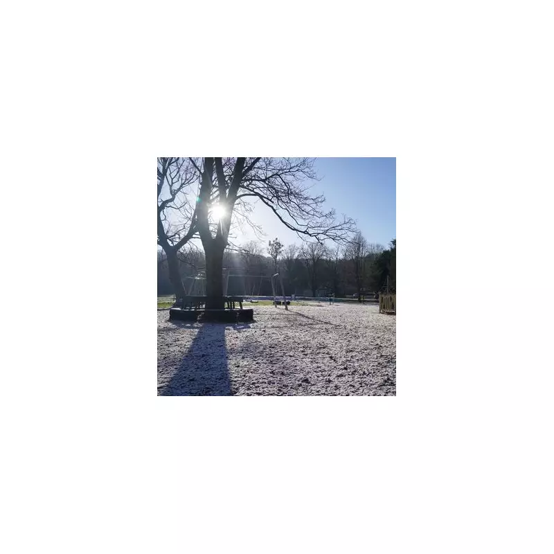 Arctic Blast Warning: UK Braces for Snow and Ice as Temperatures Plummet