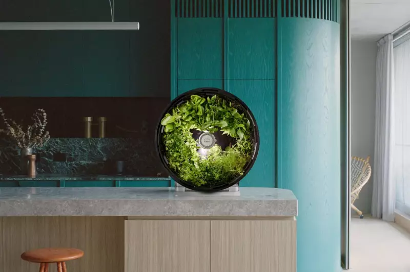 Australian Design Awards 2025: From Smartphone Microscopes to Sustainable Furniture - See the Winners