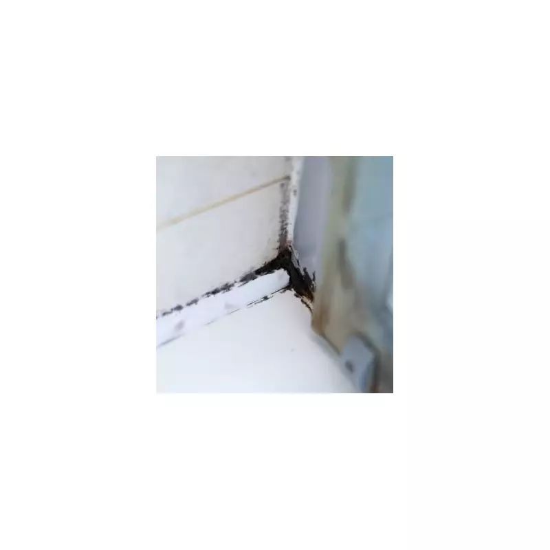 Banish Bathroom Mould For Good: Expert Reveals 5 Simple Hacks Every UK Homeowner Needs