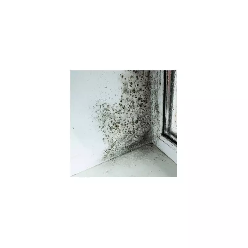 Banish Stubborn Mould From Windows Forever With This Simple White Vinegar Hack