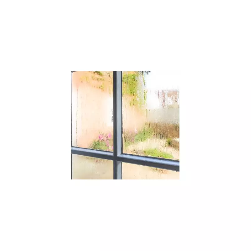 Beat Condensation for Good: Expert Tips to Stop Window Drip and Prevent Mould This Winter