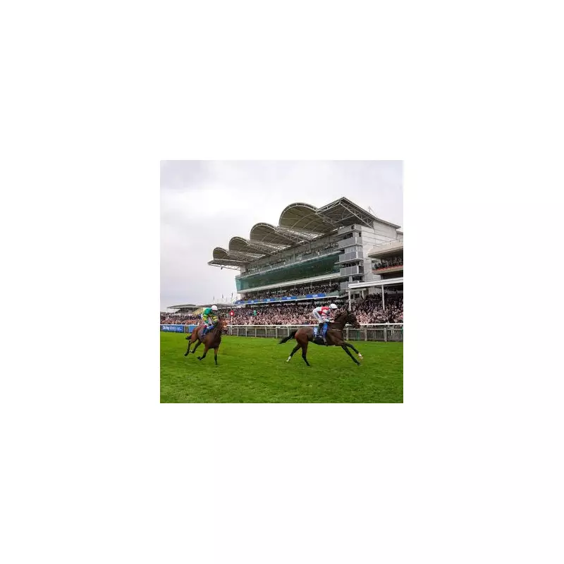 Beylerbeyi Storms to Stunning Cesarewitch Victory in Newmarket Thriller