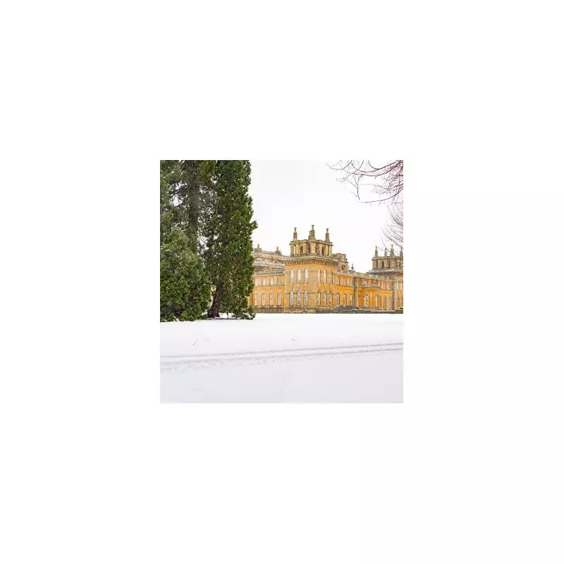 Blenheim Palace's Magical Christmas Light Trail Returns For 2024 - Don't Miss The Spectacle!