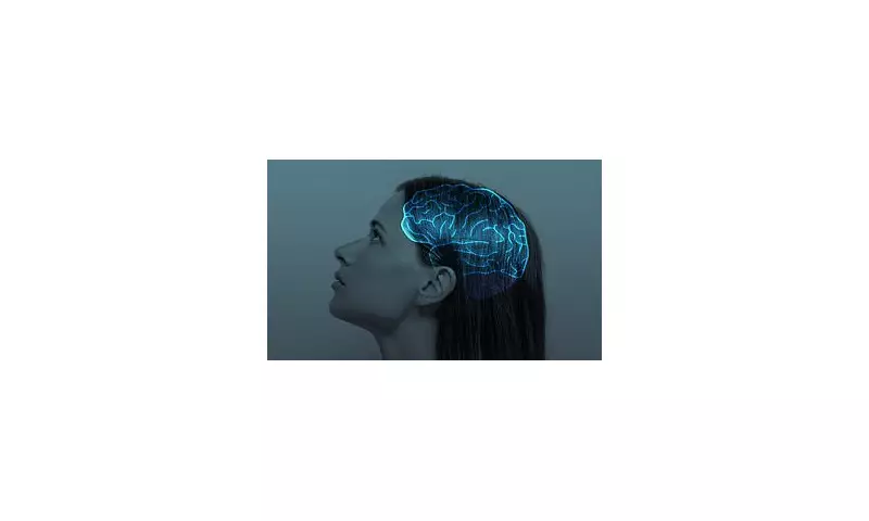 Brain Peak Performance Revealed: Scientists Discover When Your Mental Powers Hit Their Prime
