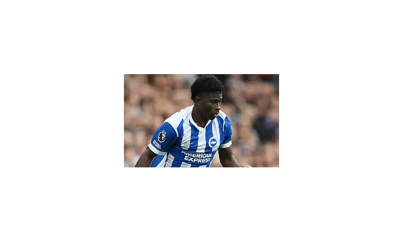 Brighton's Bold Move: Fabian Hurzeler Emerges as Shock Contender for Manchester United Role