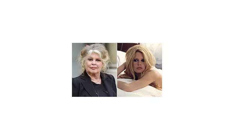 Brigitte Bardot Hospitalised in Saint-Tropez: Health Scare for Screen Legend at 91