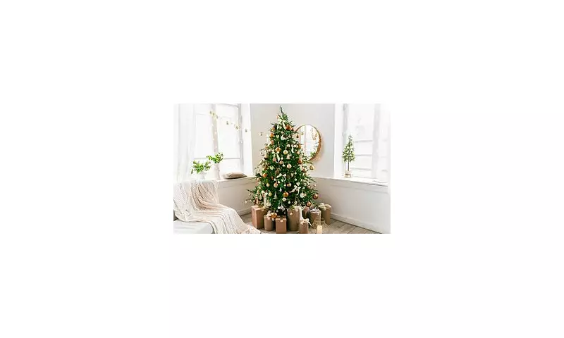 Britain's Christmas Tree Crisis: Scorching Summer Sparks Festive Fears as Growers Warn of Shortages and Soaring Prices