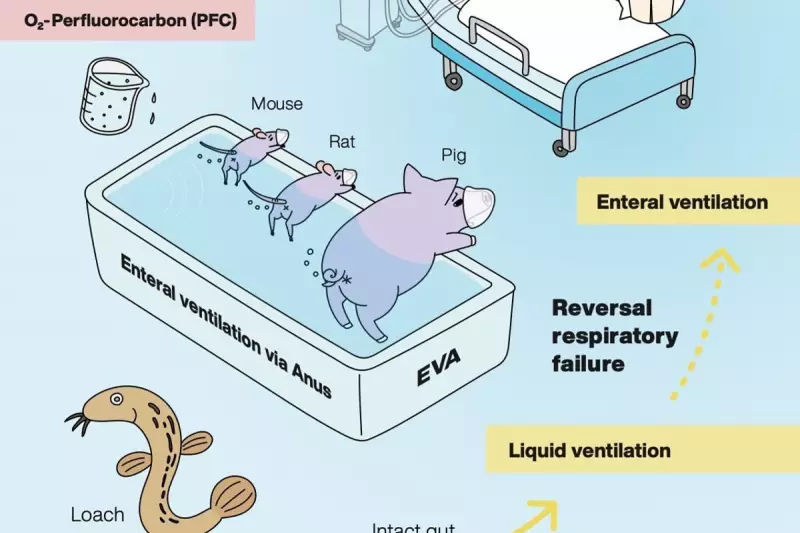 Butt Breathing Breakthrough: Japanese Scientists Win Ig Nobel for Revolutionary Lung Treatment Method