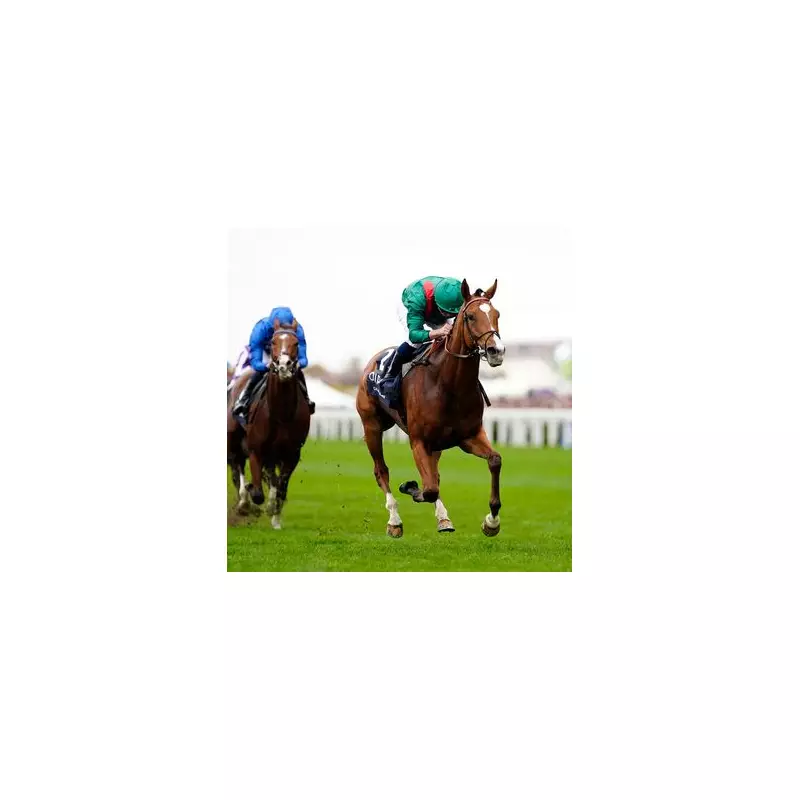 Calandagan Storms to Sensational Champion Stakes Victory at Ascot in 40-1 Shock