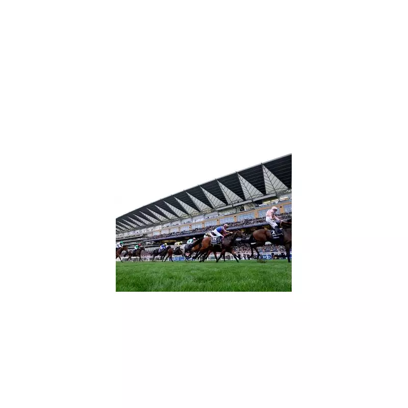 Champion Jockey Tom Marquand's Emotional Ascot Triumph with Gift Horse