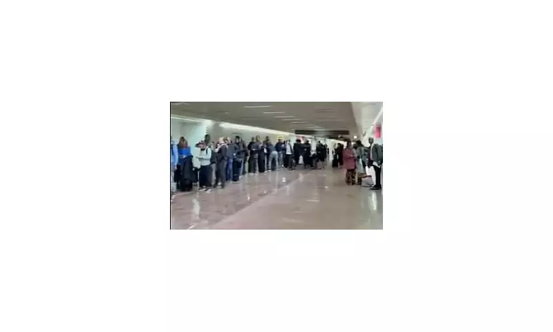 Chaos at Brussels Airport: Non-EU Passengers Face 5-Hour Border Queues Amid Staff Shortages