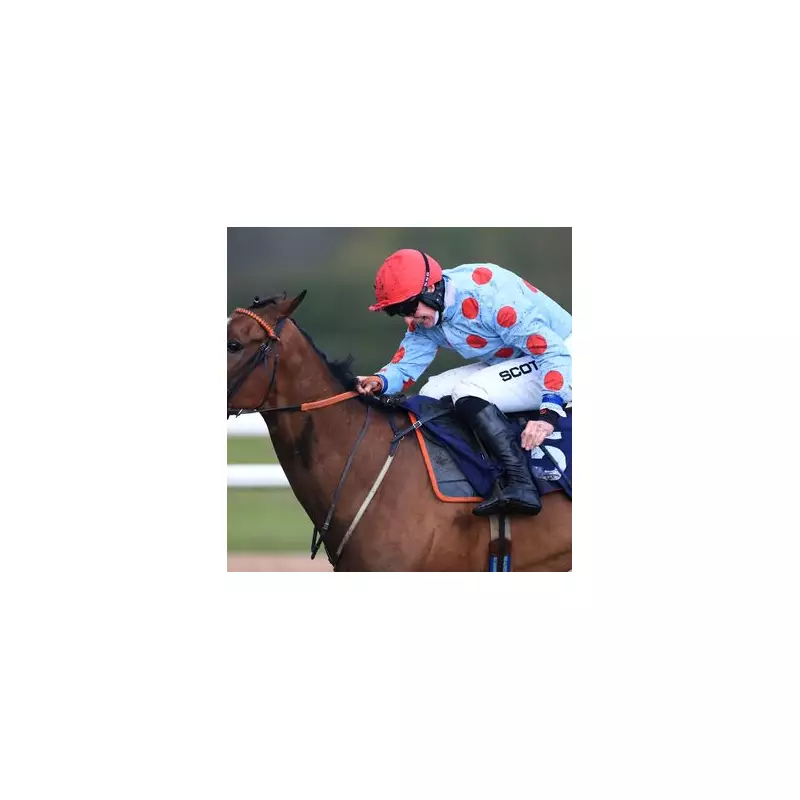 Cheltenham Festival Rocked as Horse Named 'Sound of Russia' Tragically Dies