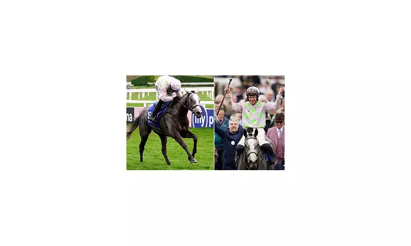 Cheltenham Festival's Mares' Hurdle Faces Quality Crisis as Top Contenders Sidestep Challenge