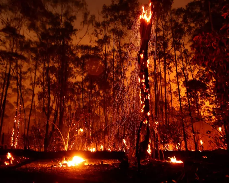 Climate Crisis Deepens: Global Pledges Fall Dangerously Short of 1.5°C Target, New Analysis Reveals