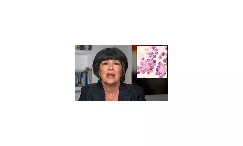CNN Star Christiane Amanpour Reveals Ovarian Cancer Has Returned in Emotional Health Update